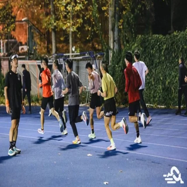 深度解析新闻趋势与数据背后的隐藏价值 - fifa club world cup